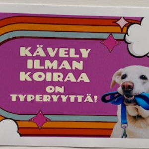 Koira tarra