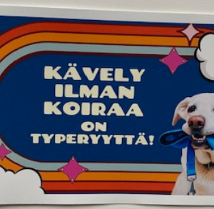 Koira tarra