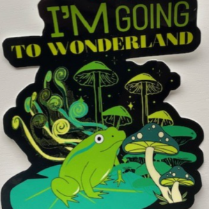 Fuck this shit im going to wonderland tarra